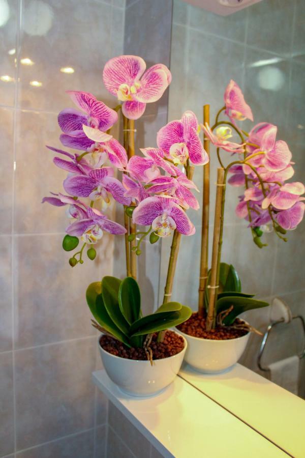 Apartament Sweet Dreams Plitvička Jezera Zewnętrze zdjęcie
